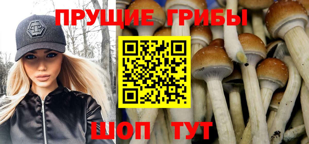 Псилоцибиновые грибы ЛСД Нурлат